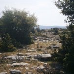 2013_05_06_kastri_09