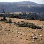 2013_05_06_kastri_11