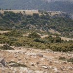 2013_05_06_kastri_13