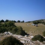 2013_05_06_kastri_16