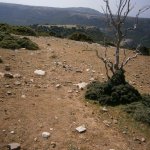 2013_05_06_kastri_22