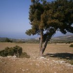 2013_05_06_kastri_25