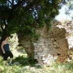 paleohori_osi_falu_07