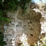 paleohori_osi_falu_09