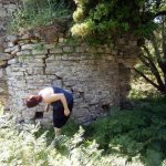 paleohori_osi_falu_12