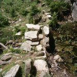 paleohori_osi_falu_18