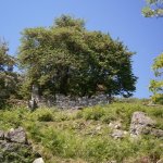 paleohori_osi_falu_19