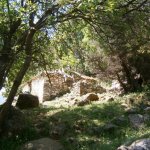paleohori_osi_falu_20