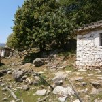 paleohori_osi_falu_24