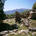 paleohori_osi_falu_25