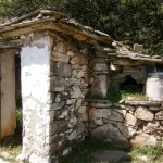 paleohori_osi_falu_30