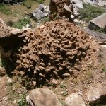 paleohori_osi_falu_33
