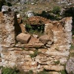 paleohori_osi_falu_34