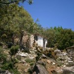 paleohori_osi_falu_36
