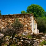 paleohori_osi_falu_38