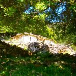 paleohori_osi_falu_42