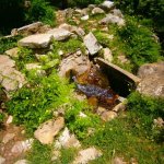paleohori_osi_falu_43