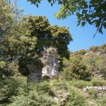 paleohori_osi_falu_55