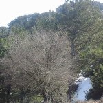 tavaszi_kirand_002