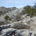 tavaszi_kirand_003
