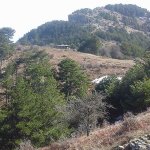 tavaszi_kirand_004