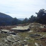 tavaszi_kirand_007