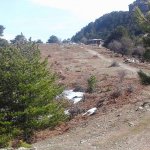 tavaszi_kirand_008