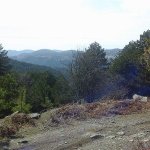 tavaszi_kirand_009