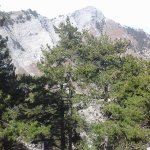 tavaszi_kirand_011