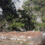 tavaszi_kirand_012