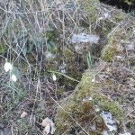 tavaszi_kirand_013
