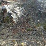 tavaszi_kirand_014
