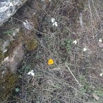tavaszi_kirand_016