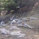 tavaszi_kirand_023