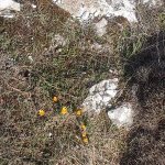 tavaszi_kirand_024