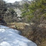 tavaszi_kirand_025