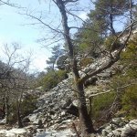 tavaszi_kirand_043