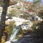 tavaszi_kirand_049