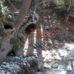 tavaszi_kirand_054