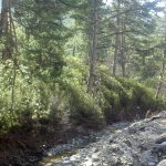 tavaszi_kirand_055