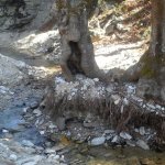 tavaszi_kirand_056