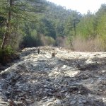 tavaszi_kirand_057