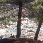 tavaszi_kirand_061