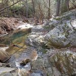 tavaszi_kirand_081