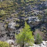 tavaszi_kirand_082