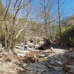 tavaszi_kirand_084