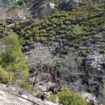 tavaszi_kirand_086