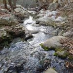 tavaszi_kirand_096
