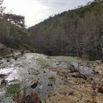 tavaszi_kirand_098