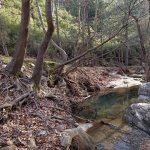 tavaszi_kirand_102